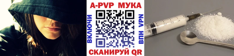 закладка  Грозный  А ПВП СК КРИС 