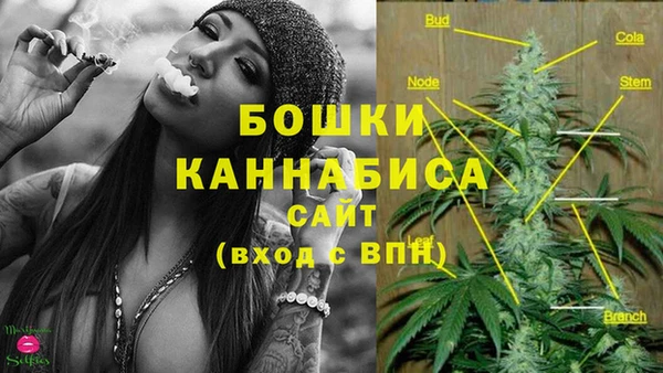 MESCALINE Бородино